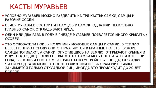 Касты муравьев Условно муравьев можно разделить на три касты: самки, самцы и рабочие особи. Семья муравьев состоит из самцов и самок. Одна или несколько главных самок откладывают яйца. Один или два раза в году в гнезде муравьев появляется много крылатых особей. Это основатели новых колоний – молодые самцы и самки. В теплую безветренную погоду они отправляются в брачные полеты. вскоре самцы погибают, а самки, опустившись на землю, отгрызают крылья и ищут подходящее для гнезда место. Самки могут не питаться в течение года, выполняя при этом все работы по устройству гнезда, откладку яиц и уход за молодью. После появления первых рабочих, самка занимается только откладкой яиц. Иногда это происходит до 20 лет подряд. 