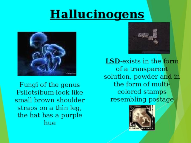 Hallucinogens LSD -exists in the form of a transparent solution, powder and in the form of multi-colored stamps resembling postage Fungi of the genus Psilotsibum-look like small brown shoulder straps on a thin leg, the hat has a purple hue 
