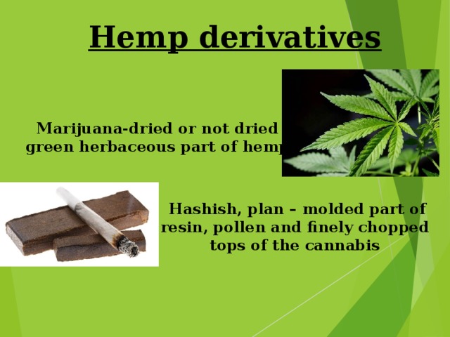 Hemp derivatives Marijuana-dried or not dried green herbaceous part of hemp  Hashish, plan – molded part of resin, pollen and finely chopped tops of the cannabis 