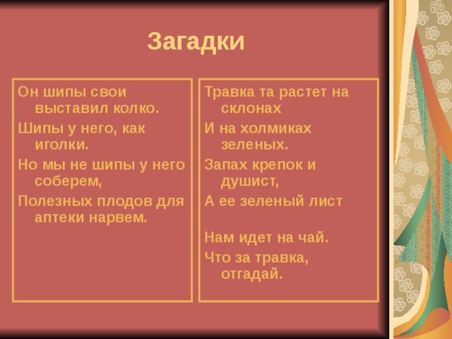 Загадки Он шипы свои выставил колко. Шипы у него, как иголки. Но мы не шипы у него соберем, Полезных плодов для аптеки нарвем. Травка та растет н a склонах И н a холмиках зеленых.  Запах крепок и душист, А ее зеленый лист  Нам идет на чай. Что за травка, отгадай. 