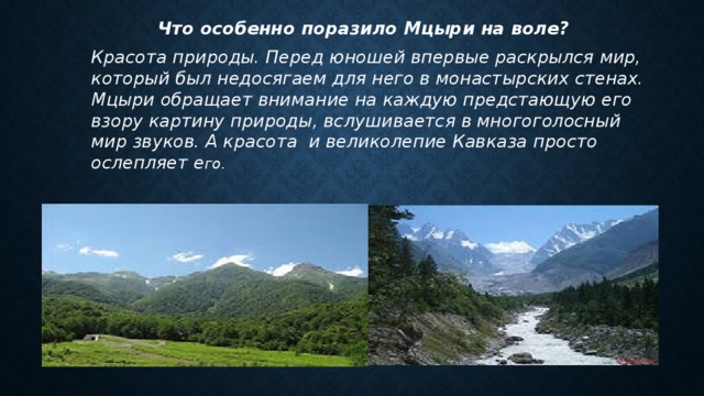  Что особенно поразило Мцыри на воле? Красота природы. Перед юношей впервые раскрылся мир, который был недосягаем для него в монастырских стенах. Мцыри обращает внимание на каждую предстающую его взору картину природы, вслушивается в многоголосный мир звуков. А красота и великолепие Кавказа просто ослепляет е го. 