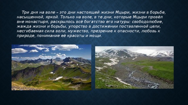  Три дня на воле – это дни настоящей жизни Мцыри, жизни в борьбе, насыщенной, яркой. Только на воле, в те дни, которые Мцыри провёл вне монастыря, раскрылось всё богатство его натуры: свободолюбие, жажда жизни и борьбы, упорство в достижении поставленной цели, несгибаемая сила воли, мужество, презрение к опасности, любовь к природе, понимание её красоты и мощи. 