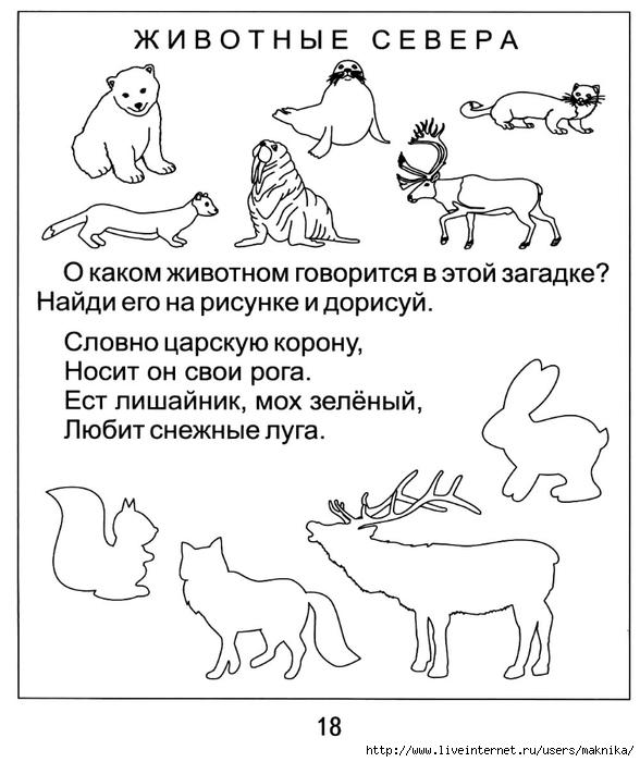 Логопедическое занятие дикие животные презентация