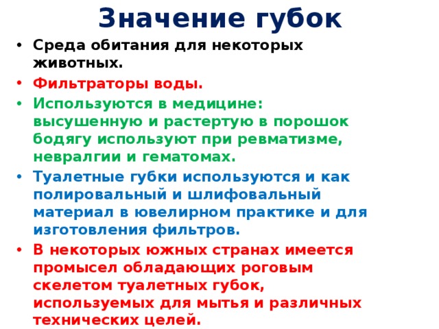 Значение губок Среда обитания для некоторых животных. Фильтраторы воды. Используются в медицине: высушенную и растертую в порошок бодягу используют при ревматизме, невралгии и гематомах. Туалетные губки используются и как полировальный и шлифовальный материал в ювелирном практике и для изготовления фильтров.  В некоторых южных странах имеется промысел обладающих роговым скелетом туалетных губок, используемых для мытья и различных технических целей. Промысел стеклянных губок, используемых в качестве украшений и сувениров. 