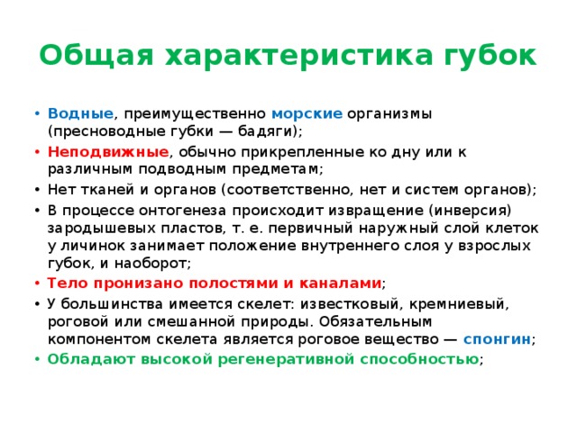 Общая характеристика губок Водные , преимущественно морские организмы (пресноводные губки — бадяги); Неподвижные , обычно прикрепленные ко дну или к различным подводным предметам; Нет тканей и органов (соответственно, нет и систем органов); В процессе онтогенеза происходит извращение (инверсия) зародышевых пластов, т. е. первичный наружный слой клеток у личинок занимает положение внутреннего слоя у взрослых губок, и наоборот; Тело пронизано полостями и каналами ; У большинства имеется скелет: известковый, кремниевый, роговой или смешанной природы. Обязательным компонентом скелета является роговое вещество —  спонгин ;  Обладают высокой регенеративной способностью ; 