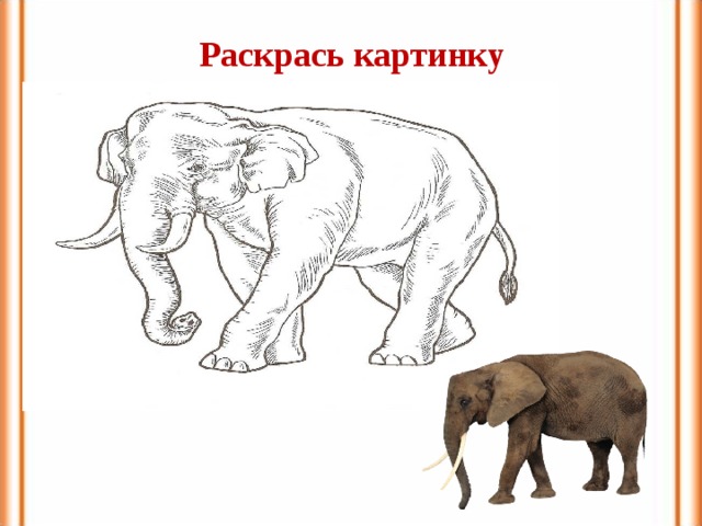 Раскрась картинку 