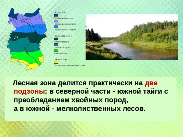 Природно климатические зоны Омской области. Лесная зона Омской области. Климатическая карта Омской области.