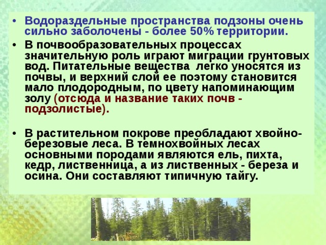 В какой зоне почвы сильно заболочены. Характеристика почв Омской области. Омская область сведения о почвах. Лесная зона Омской области. Почвы Лесной зоны Омской области.