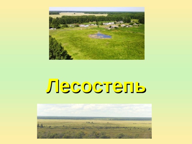 В какой природной зоне омская область