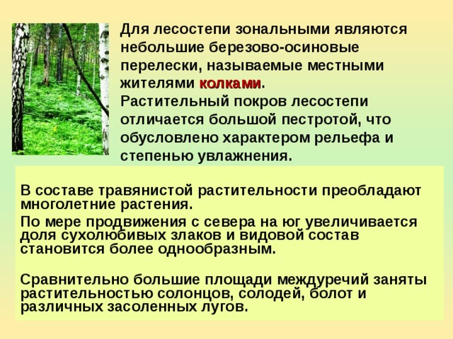 Растительный покров это почва. Лесостепная зона презентация. Почвы лесостепной зоны Омской области. Зональными видами растительности являются. Внешний облик зоны лесостепная зона.
