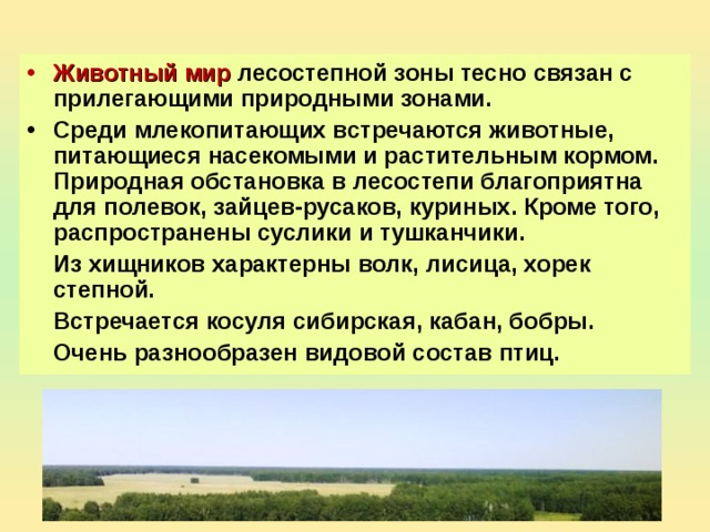 Составьте описание растительности животного мира и почв своей местности по плану 1