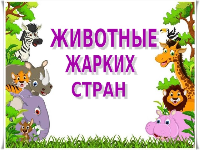 Животные жарких стран презентация для подготовительной группы