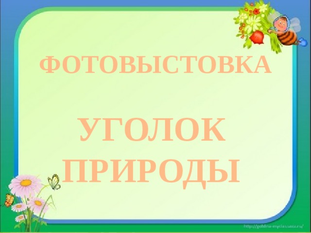 ФОТОВЫСТОВКА  УГОЛОК ПРИРОДЫ 