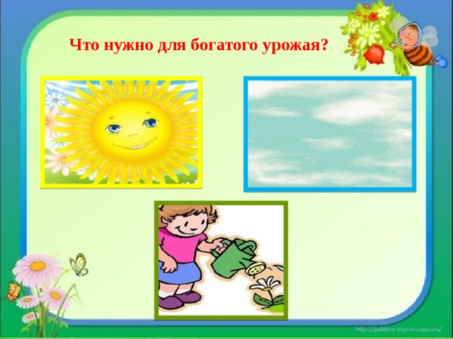 Что нужно для богатого урожая? 