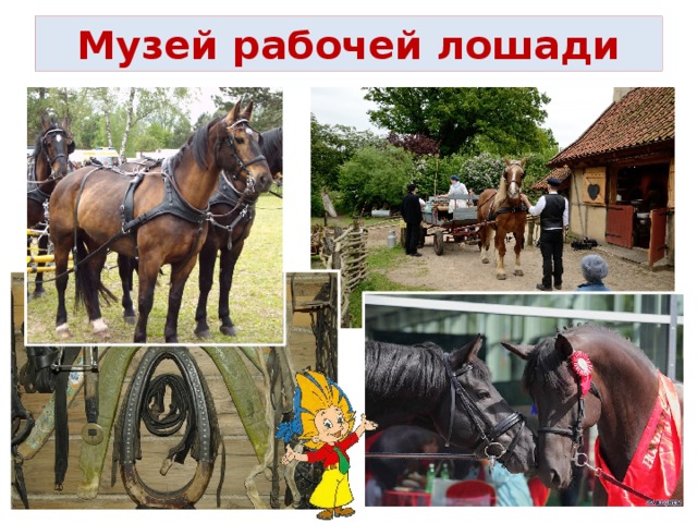 Лошадь друг и помощник человека проект