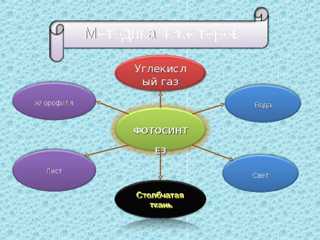 Методика кластеров Углекислый газ Хлорофилл Вода ФОТОСИНТЕЗ Лист Свет 