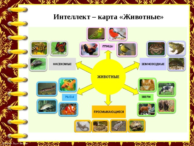 Технологическая карта дикие животные