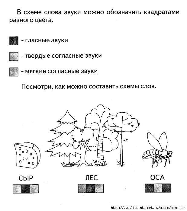Звуковая схема слова лес