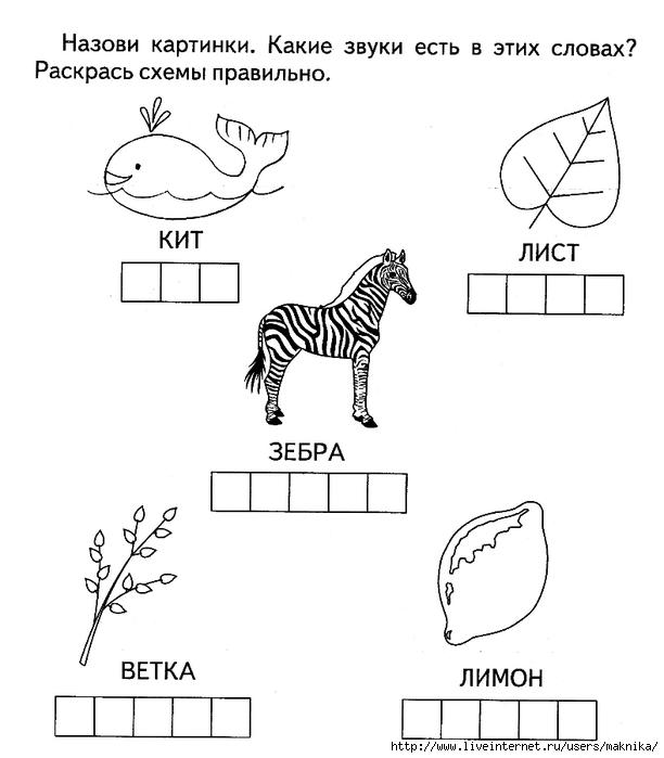 Дошкольник схема слова
