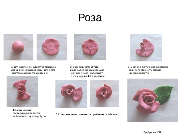 Описание пошагово. Поэтапная лепка розочки. Схема лепка розы. Лепка цветка в старшей группе пошагово. Схема розы для лепки цветов.