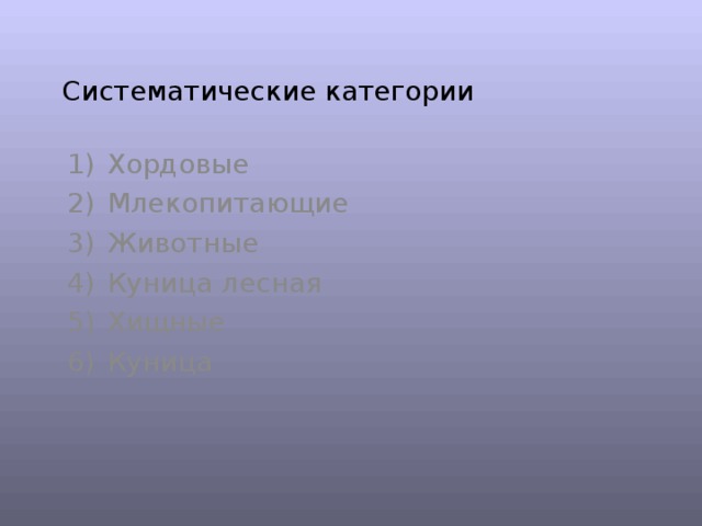 Систематические категории Хордовые Млекопитающие Животные Куница лесная Хищные Куница 
