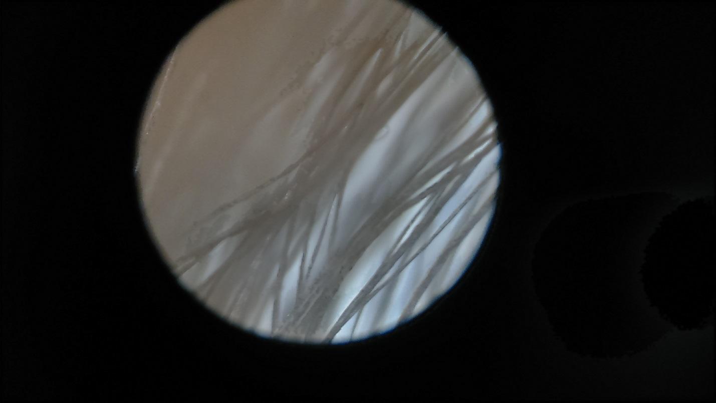 Шелк под микроскопом фото