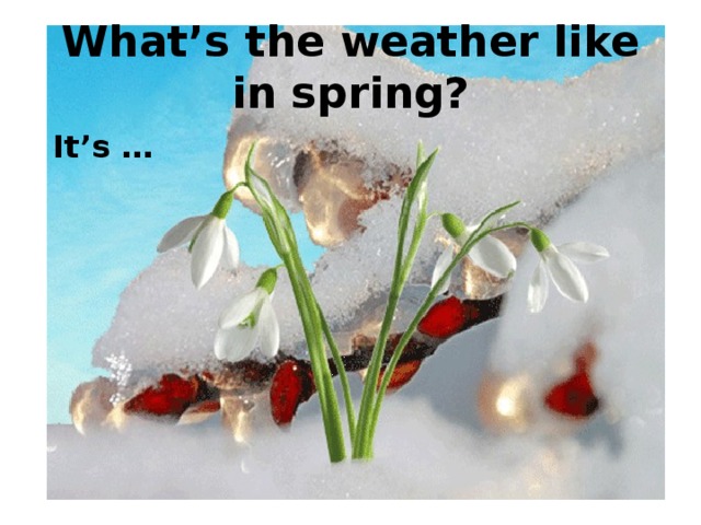 What’s the weather like in spring?  It’s … 
