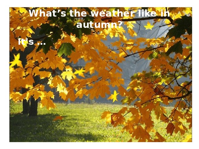 What’s the weather like in autumn?  It’s … 