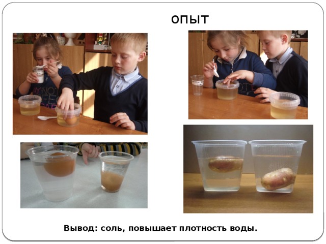 Соленая вода плотнее. Опыт с яйцом и соленой водой. Опыт с детьми соленая вода плотнее. Исследовательский проект плотность воды. Опыт с картошкой и соленой водой.