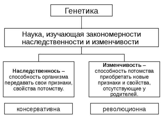 Генетика наука о закономерностях наследственности. Наука изучающая закономерности наследственности и изменчивости. Закономерности наследственности и изменчивости. Какая наука изучает закономерности наследственности и изменчивости. Генетика это наука изучающая закономерности.