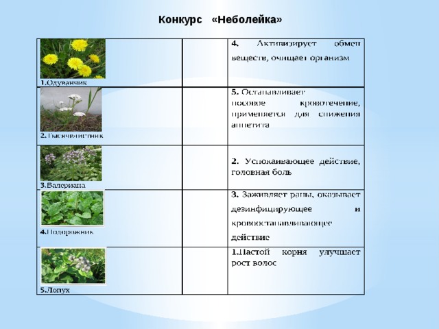 Конкурс «Неболейка» 