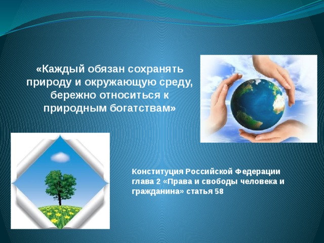 Сохранение природы и бережное отношение. Бережно отношение к природе. Бережное отношение к природе и окружающей среде. Сохранять природу и окружающую среду. Обязанность сохранять природу и окружающую среду.