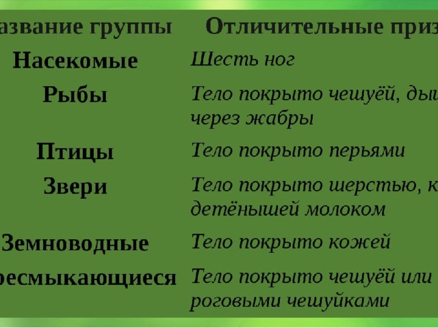 Группы животных 3 класс окружающий мир таблица