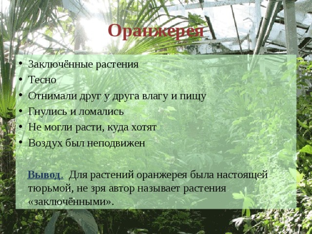 Оранжерея Заключённые растения Тесно Отнимали друг у друга влагу и пищу Гнулись и ломались Не могли расти, куда хотят Воздух был неподвижен   Вывод .  Для растений оранжерея была настоящей тюрьмой, не зря автор называет растения «заключёнными». 