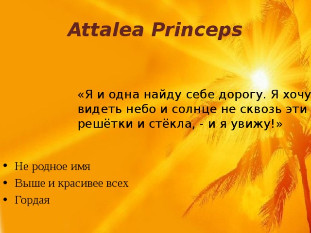 Attalea Princeps «Я и одна найду себе дорогу. Я хочу видеть небо и солнце не сквозь эти решётки и стёкла, - и я увижу!» Не родное имя Выше и красивее всех Гордая 