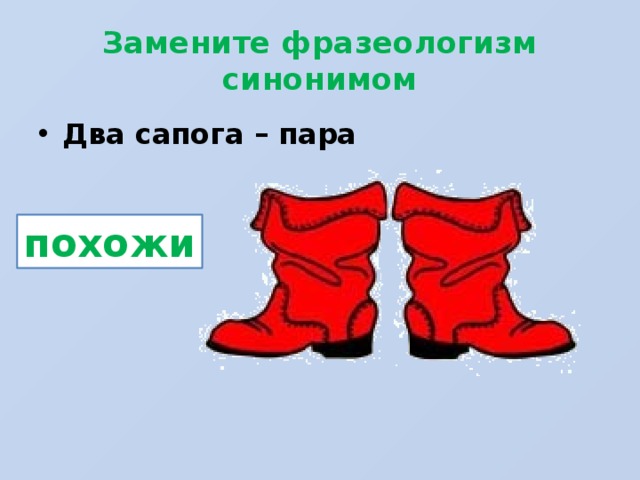 Двух пар сапог