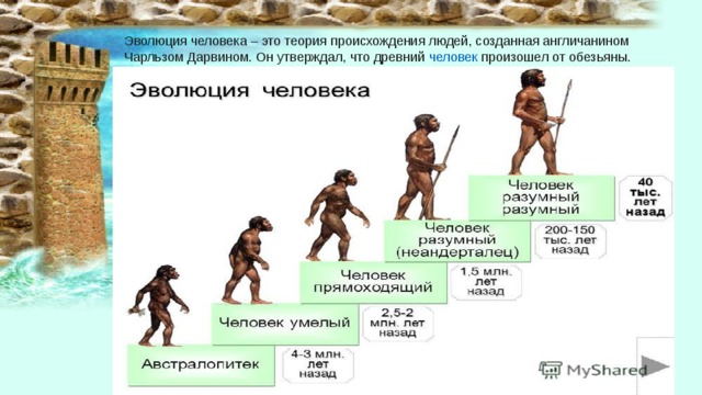 Эволюция человека – это теория происхождения людей, созданная англичанином Чарльзом Дарвином. Он утверждал, что древний  человек  произошел от обезьяны. 