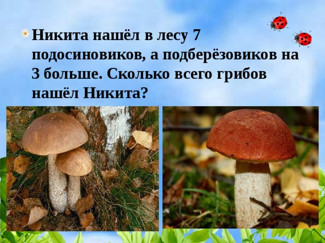 Никита нашёл в лесу 7 подосиновиков, а подберёзовиков на 3 больше. Сколько всего грибов нашёл Никита? 