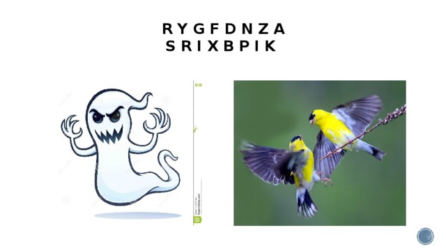 R Y G F D N Z A  S R I X B P I K