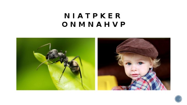 N I A T P K E R  O N M N A H V P