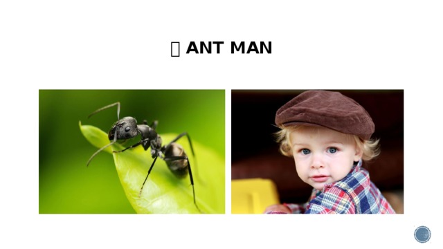   ANT MAN