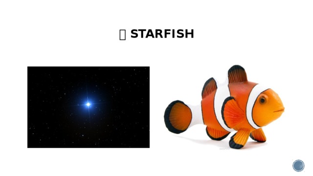   STARFISH
