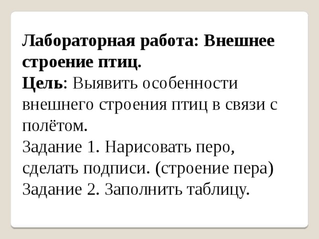 Лабораторная работа изучение внешнего строения птицы. Птица для лабораторной работы. Лабораторная работа внешнее строение птиц.