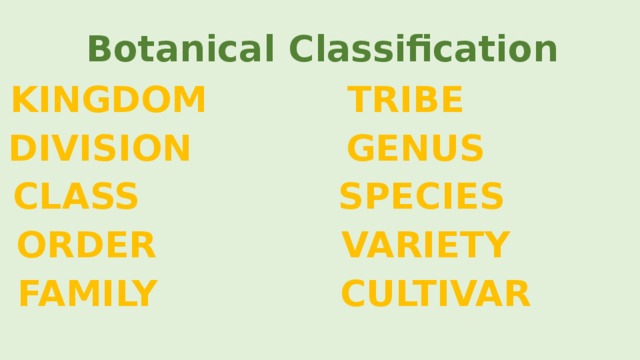 Botanical Classification KINGDOM TRIBE DIVISION GENUS CLASS SPECIES ORDER VARIETY FAMILY CULTIVAR 