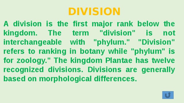 DIVISION A division is the first major rank below the kingdom. The term 