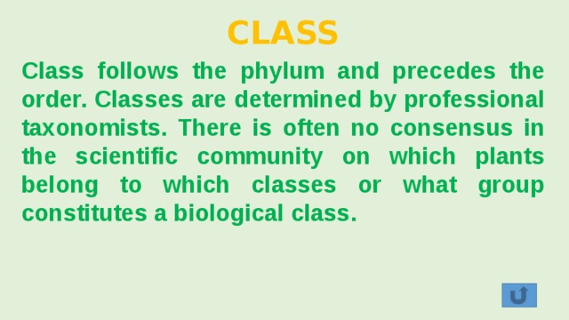 CLASS Class follows the phylum and precedes the order. Classes are determined by professional taxonomists. There is often no consensus in the scientific community on which plants belong to which classes or what group constitutes a biological class. 
