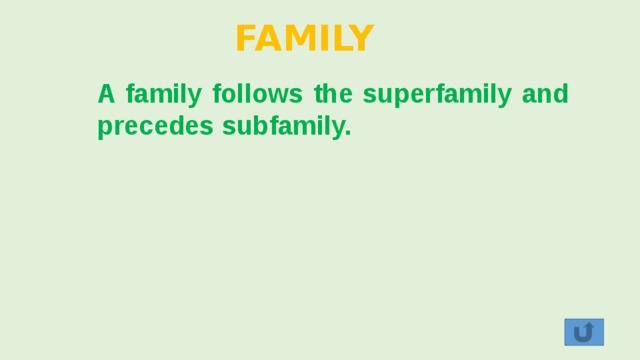 FAMILY A family follows the superfamily and precedes subfamily. 