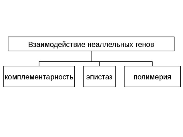 Взаимодействие неаллельных генов комплементарность эпистаз полимерия 