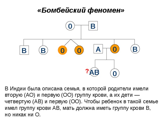 «Бомбейский феномен» В 0 В 0 А 0 0 В В ? АВ 0 В Индии была описана семья, в которой родители имели вторую (АО) и первую (ОО) группу крови, а их дети — четвертую (АВ) и первую (ОО). Чтобы ребенок в такой семье имел группу крови АВ, мать должна иметь группу крови В, но никак ни О .  17 