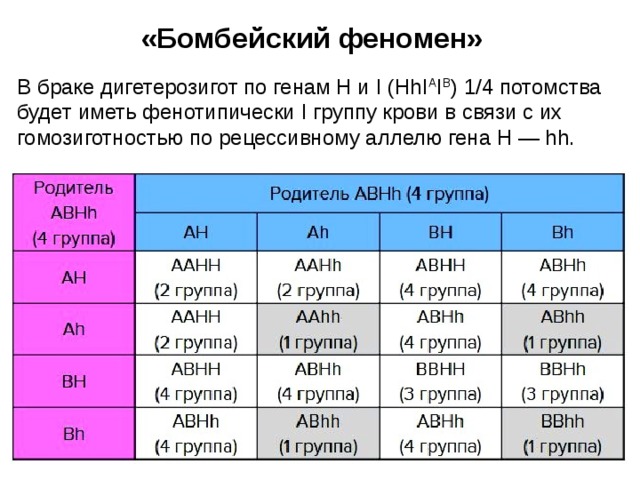 «Бомбейский феномен» В браке дигетерозигот по генам Н и I (НhI A I B ) 1/4 потомства будет иметь фенотипически I группу крови в связи с их гомозиготностью по рецессивному аллелю гена Н — hh. 